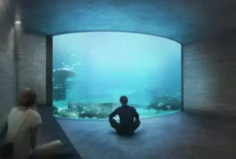 Why Acrylic Aquarium Tunnel Design Is Transforming Modern Visitor Experiences