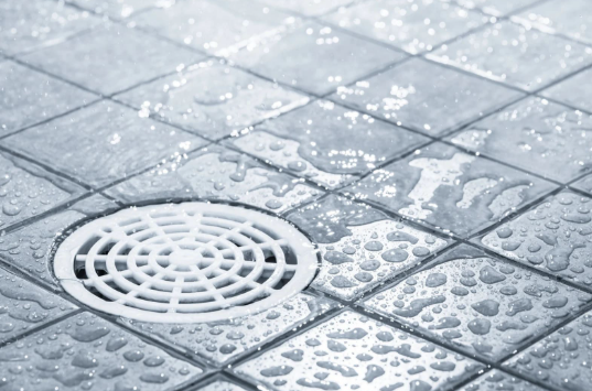 The Guest Review That Started With A Slow Shower Drain