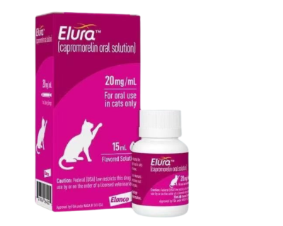 How to Choose Pet Vitamins and Supplements Without Guessing